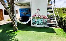 Hotel La Jungla